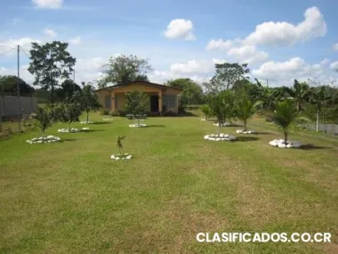 Casa grande con propiedad de 1295 metros en la colonia guapiles 45 millones