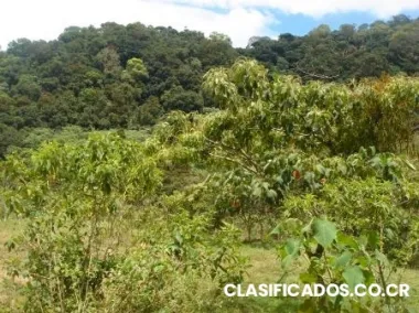 d-oprtunidad lote a la venta