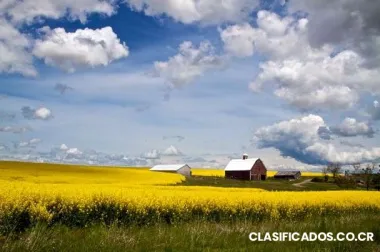 Desamparaos,alquilo casa de 3dor,2bñs,sin cochera.