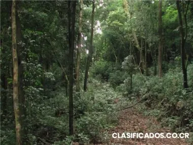 Edificio y lote monterverde