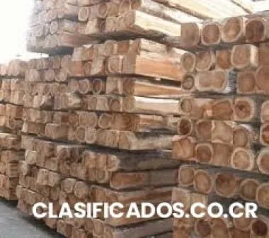 Empresa especialista vende teca panamà. en pie o por contenedor