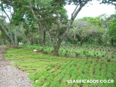 Espectacular vista 180grados al mejor precio