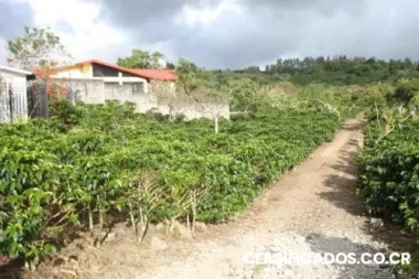 Excelente lote en getsemaní de san rafael de heredia