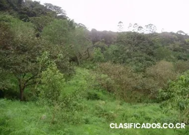 Finca cerca de monteverde