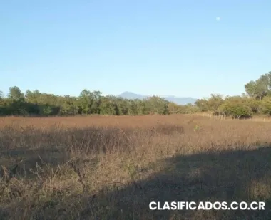 Finca el salto liberia guanacaste #21