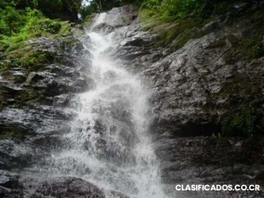 Finca en osa con 97 hectáreas (977.122.80 metros cuadrados)