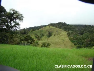 Finca en rio chiquito, tilarán, guanacaste