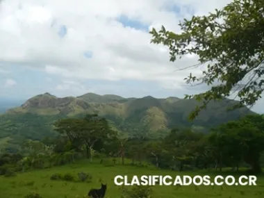 Finca excelente para la agricultura en guanacaste