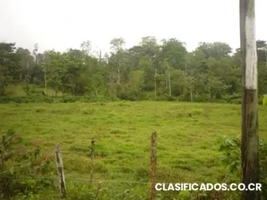 Finca santa rosa limón