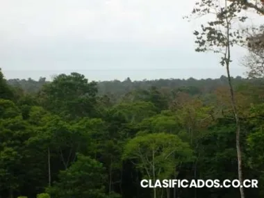 Ganga!!! vendo finca en san clement, puerto limon costa rica