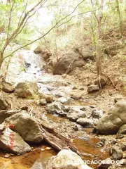 Ganga venta de propiedad en santa cruz