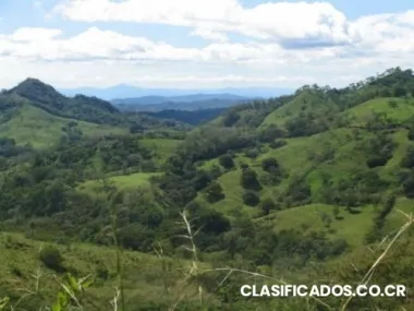 Gran oportunidad de invertir su dinero