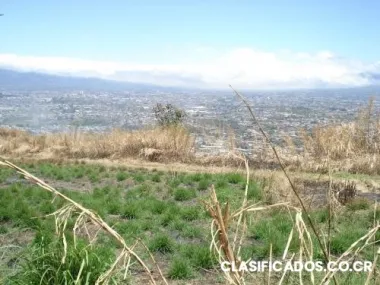 Gran opportunity para desarrolladores