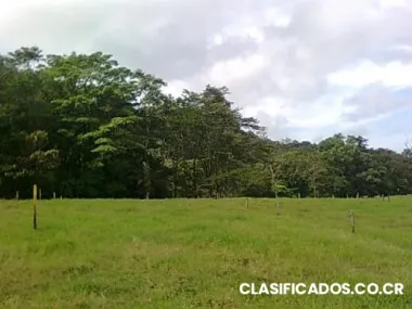 Hermoso lote en san carlos.excelente ubicacion.