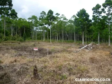 Hermoso lote en venta alajuela san carlos, venecia