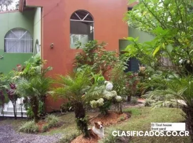 Hidden treasure in mountains of san rafael de heredia