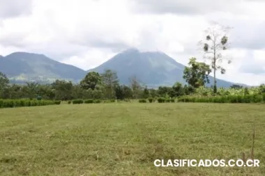 La mejor inversion de su vida se la da ecoquintas aproveche