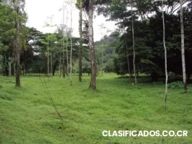 Limón puerto viejo zona de carbón 1 zona turística