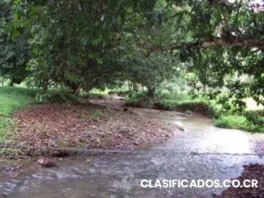 Limón puerto viejo zona de carbón 1 zona turística