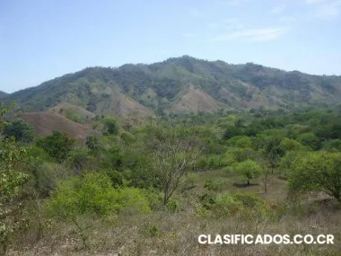 Linda finca en la ilusion, montaña grande, lepanto.