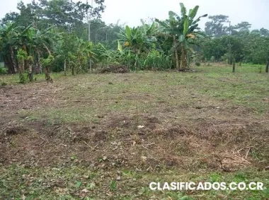 Lote de 287 m2 en 2.5 millones - caribe, cariari
