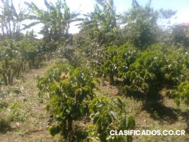 Lote de 470 mts santa barbara