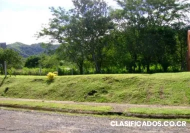 Lote de playa herradura residencial pez vela