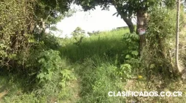 Lote desamparados san juan de dios