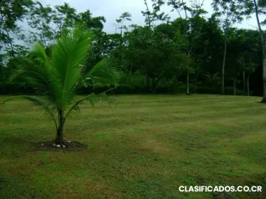 Lote en oferta en san carlos a 15mins de la fortuna