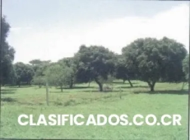 Lote en playa cedros, montezuma, puntarenas