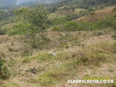 Lote monterverde - guanacaste - costa rica