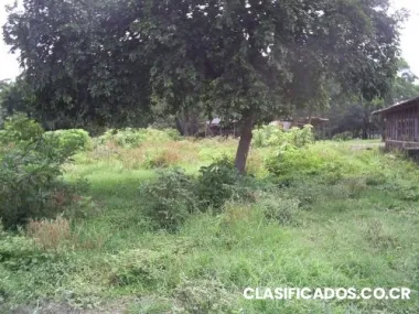 Lote por la cruz roja de santa ana. $780.000