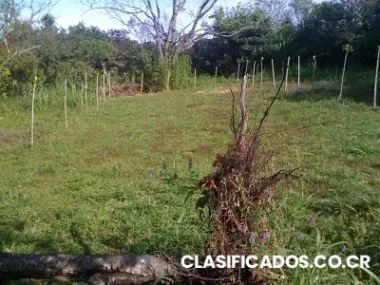 Lote san rafael de heredia #10