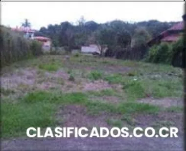 Lote santa ana