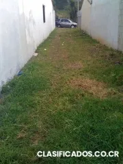 Lote santa cecilia heredia #31