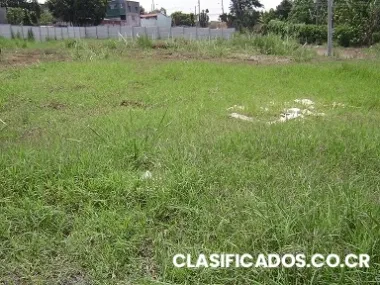 Lotes barreal de heredia calle alcala #24