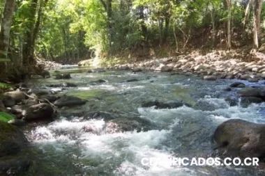 Lotes ecologicos en la fortuna financio 100%