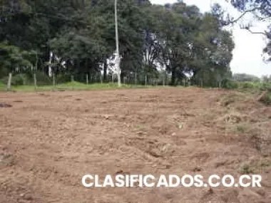 Lotes en cartago, cooperosales,1600 mts 16000000 financio