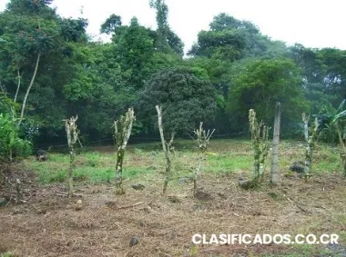 Lotes en preventa en 2 millones en pocora