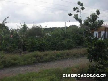 Lotes en san josé de la montaña 500 m2 ¢30 millones