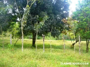 Preciosa finca ecologica, en la fortuna de san carlos