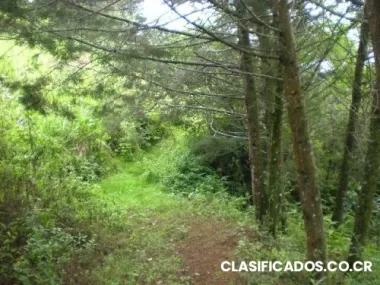 Preciosa propiedad en san antonio de escazu