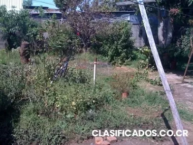 Propiedad comercial heredia centro #8