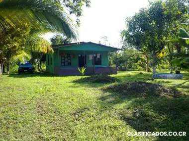 Propiedad en la fortuna de sancarlos