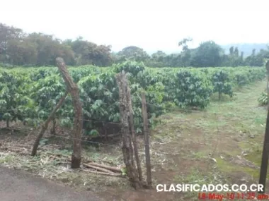 Propiedad san pedro de sta barbara 1920m2