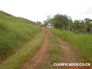 Propiedades de 12000 y 25000m2 rosales de desamparados de alajuela