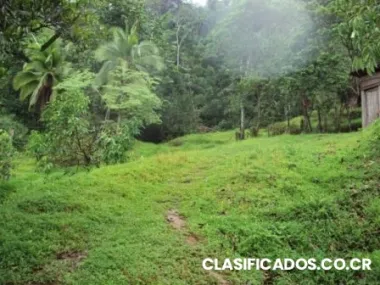 Puerto viejo limón zona de carbón 1