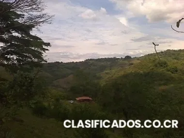 Quinta puriscal san jose #29