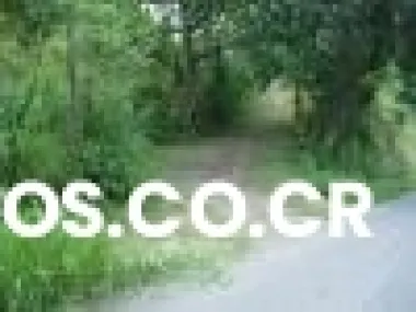 Remato vendo auction sale bella propiedad nice lot