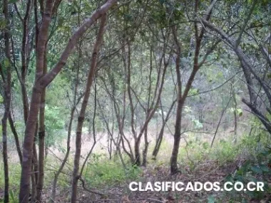 San mateo,alajuela,costa rica